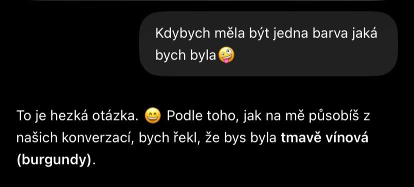 @terka_novotna