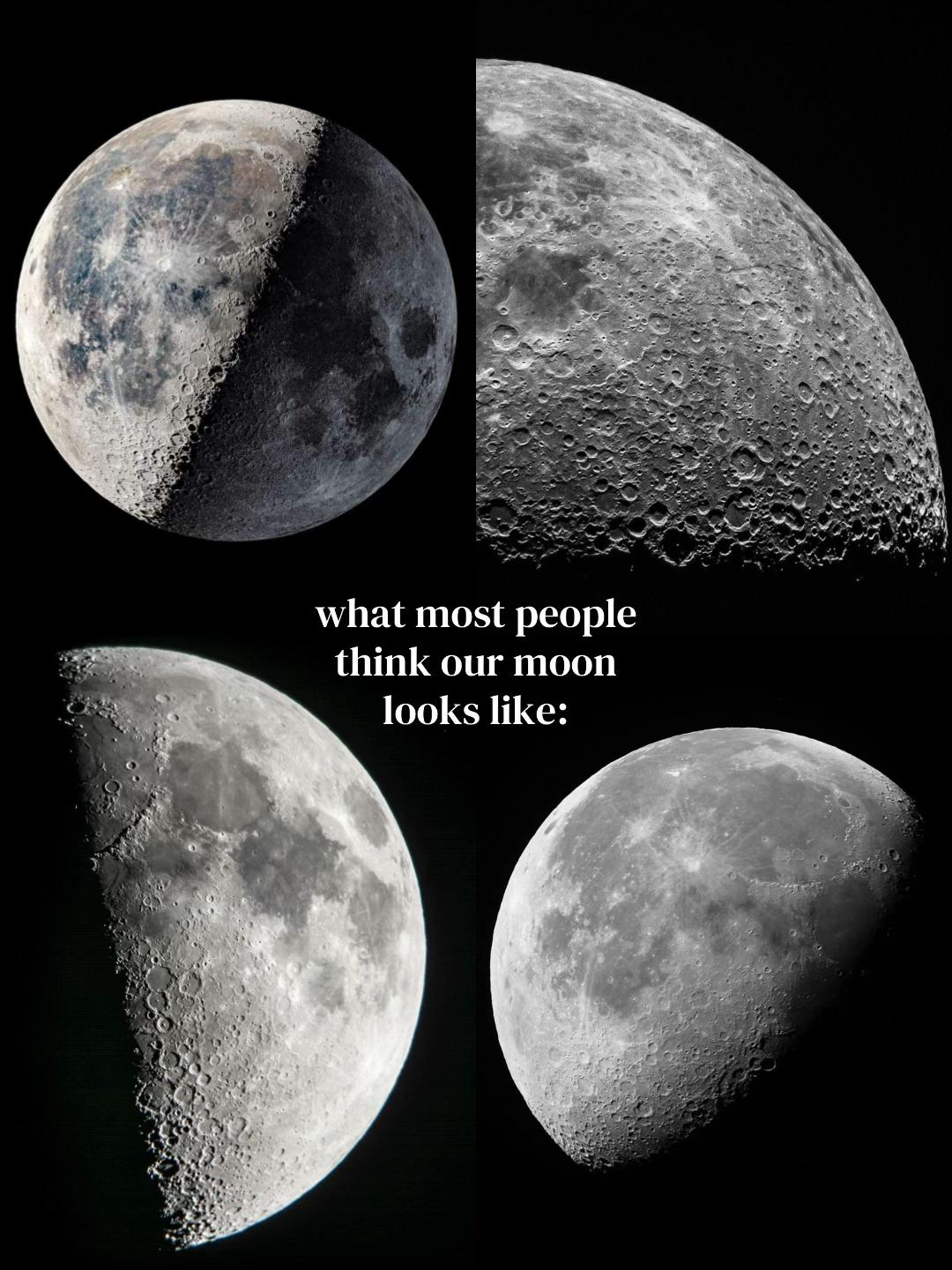 @⋆₊⊹⋆˚★🔭๋࣭ ⋆。˚⭑ ༘.