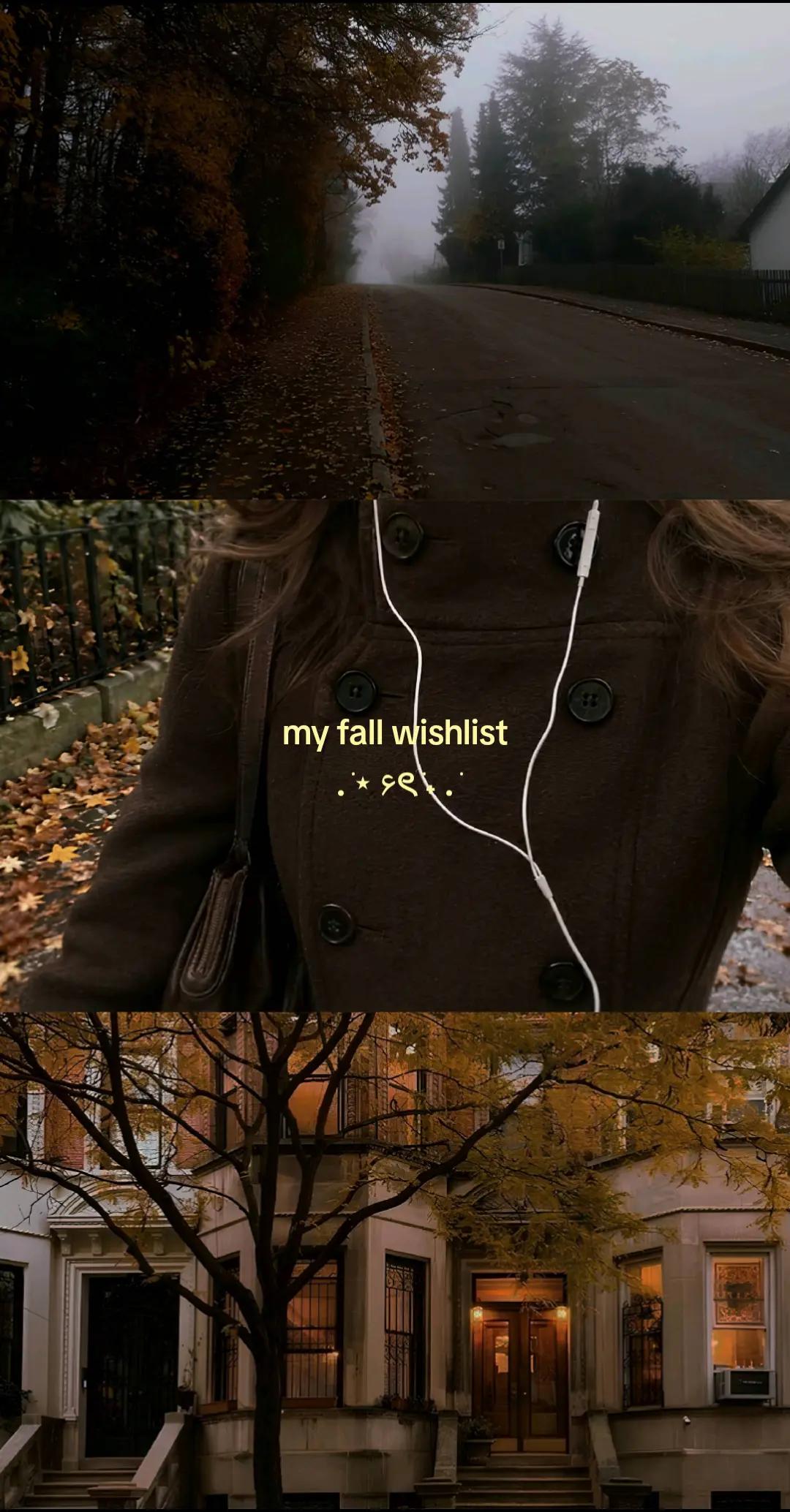 @˚₊‧꒰ა 𝒜𝓷𝓰𝓮𝓵 ໒꒱ ‧₊˚