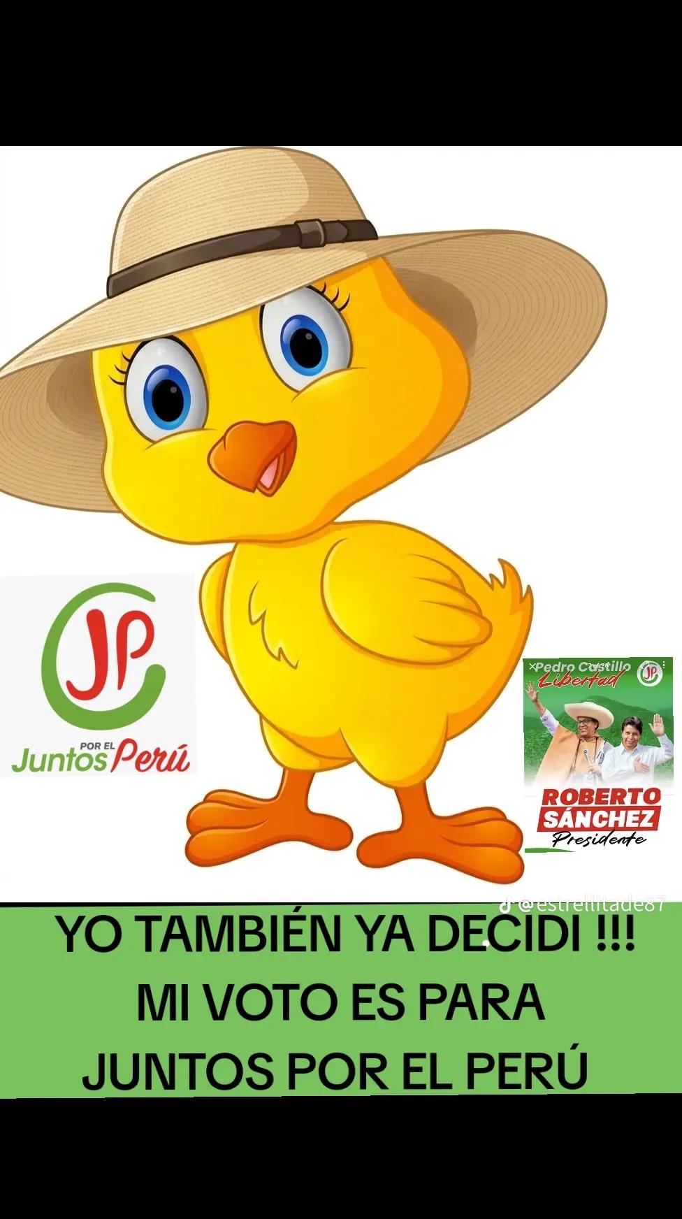 @Amaz&oacute;nica