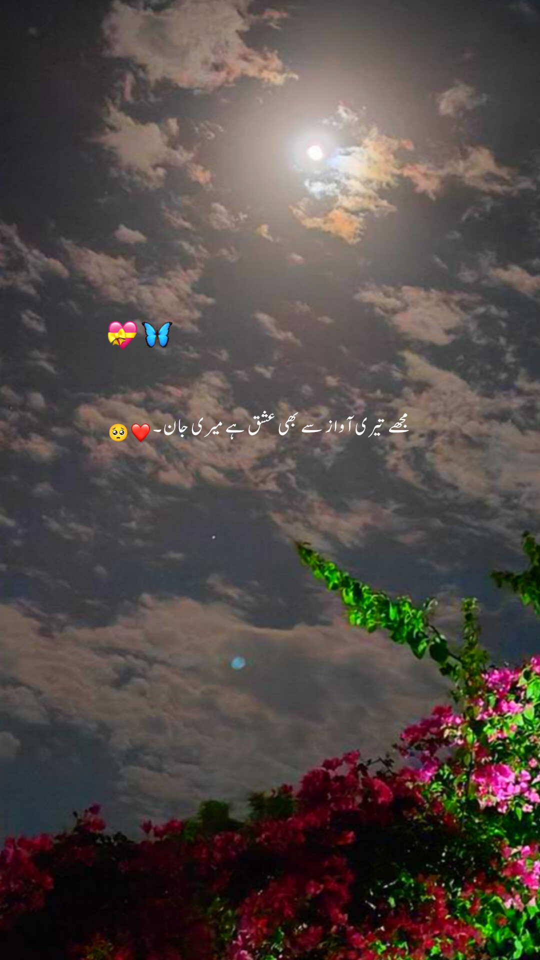 @Cute Potery