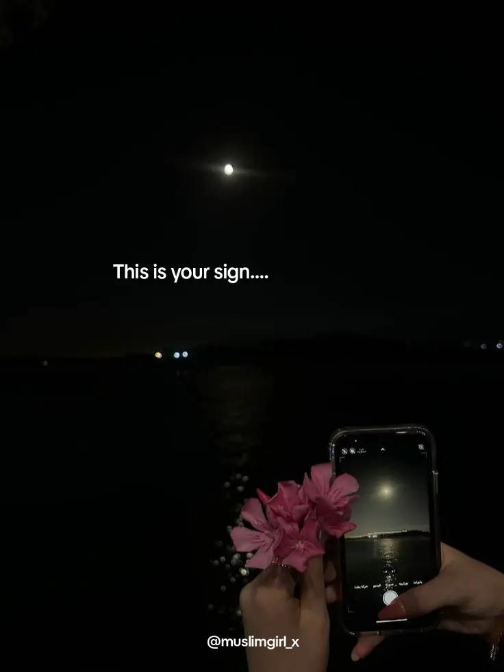 @Islamic Reminders 🤍🌹