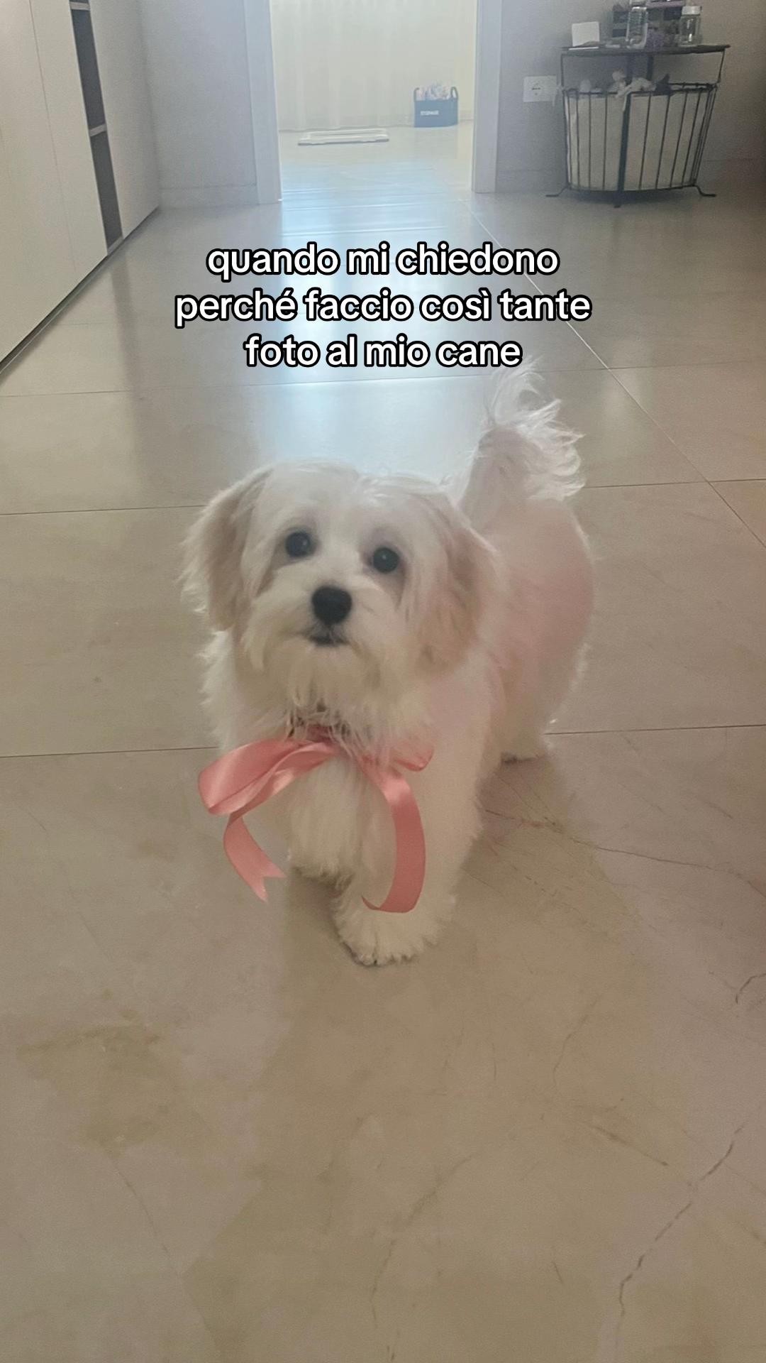 @lu.morra
