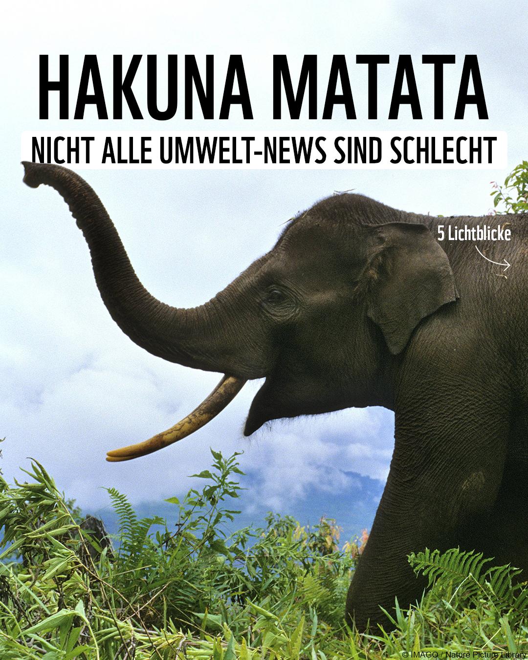 @WWF Schweiz