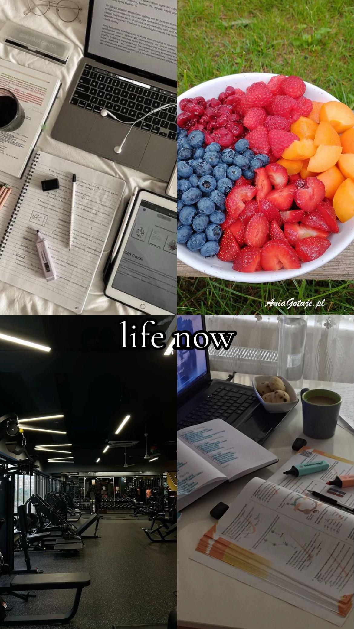 @Scarlet Knur&oacute;w❤️