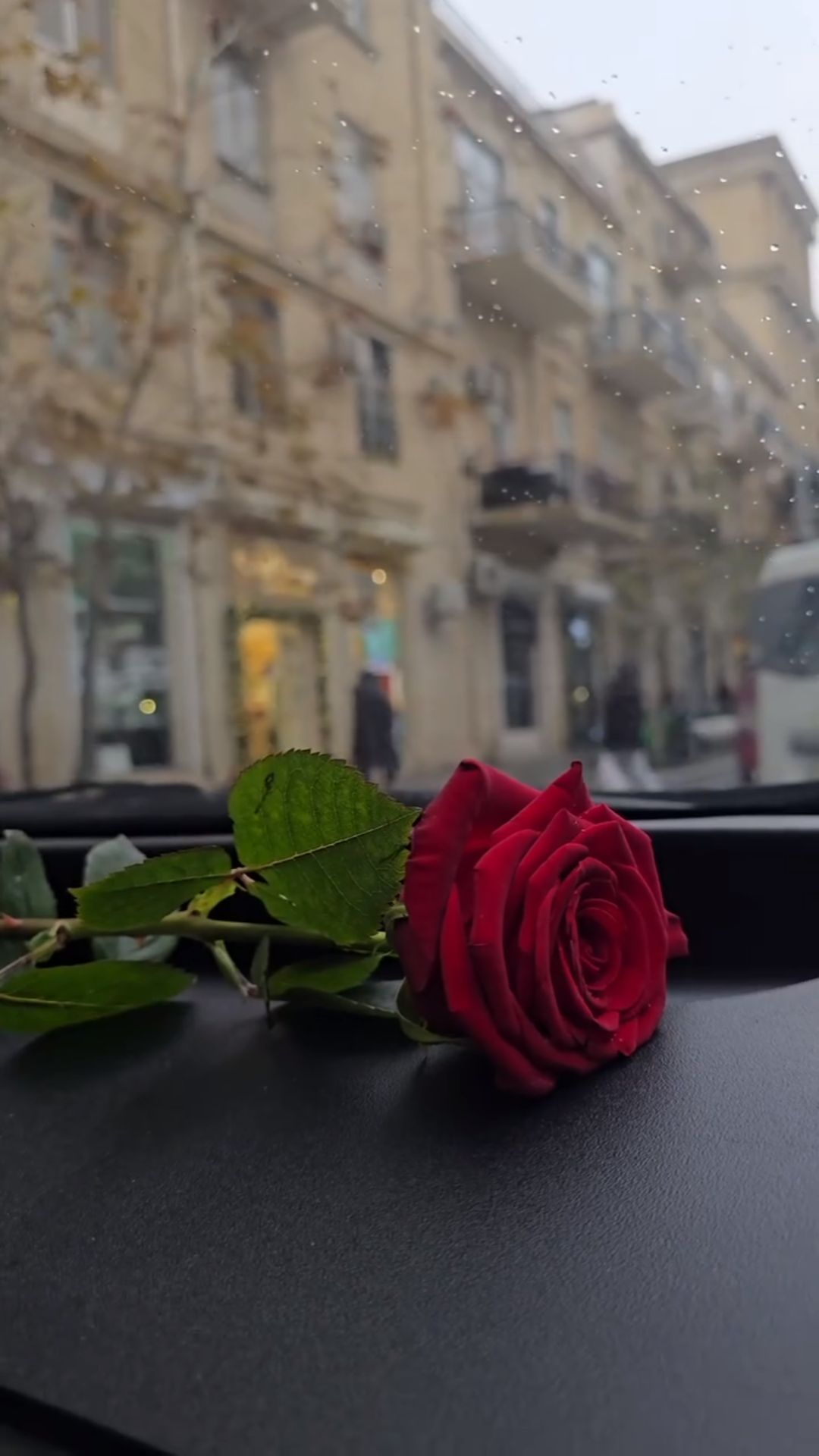 @امي