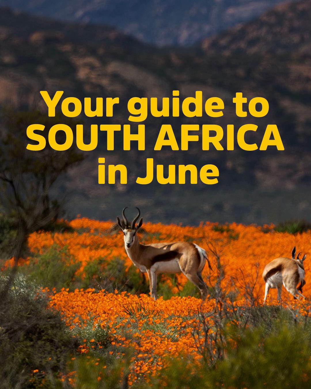 @South Africa UK