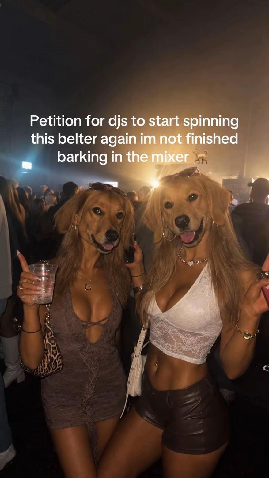 @kingbill.isback