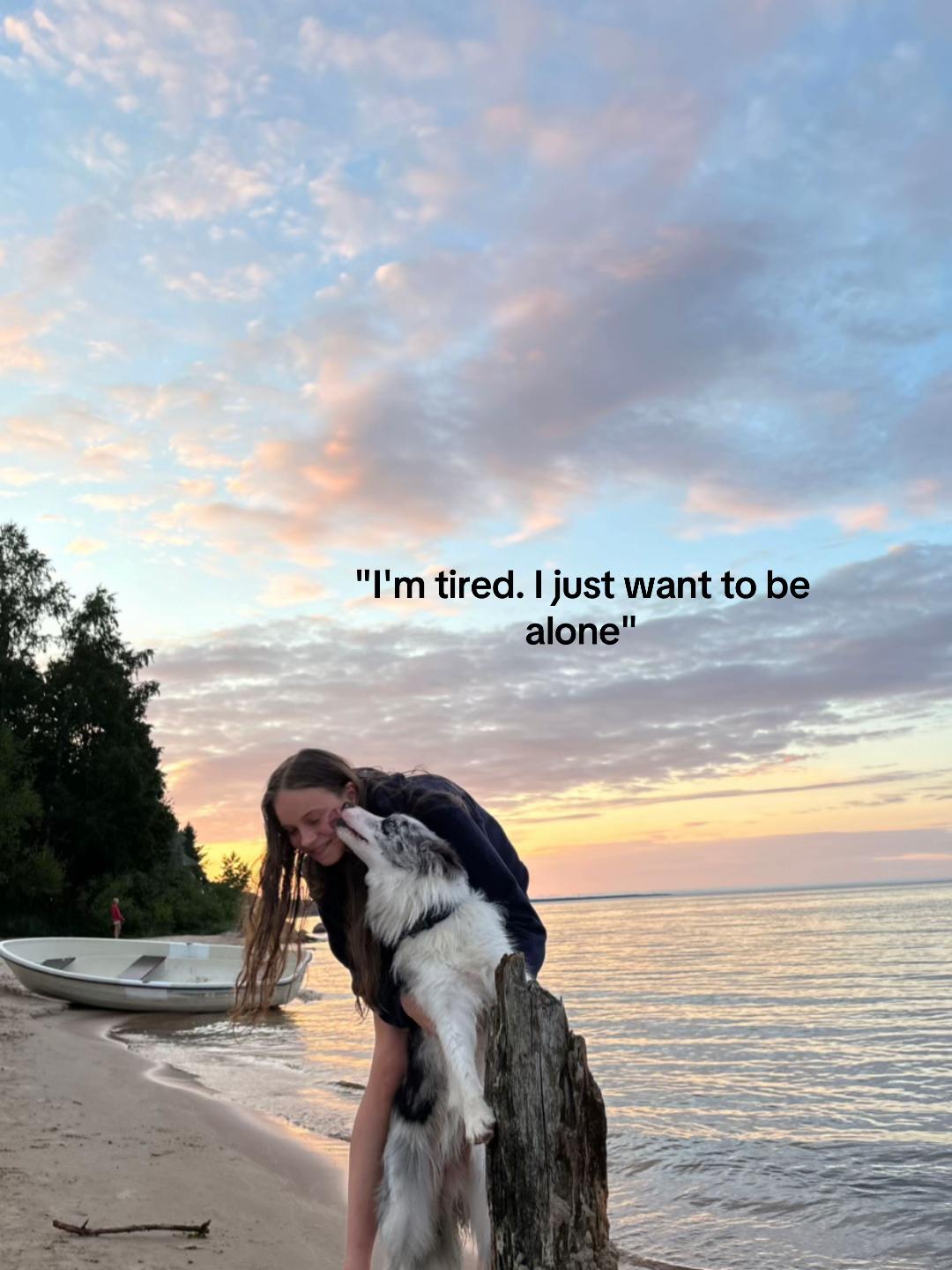 @elisathebordercollie