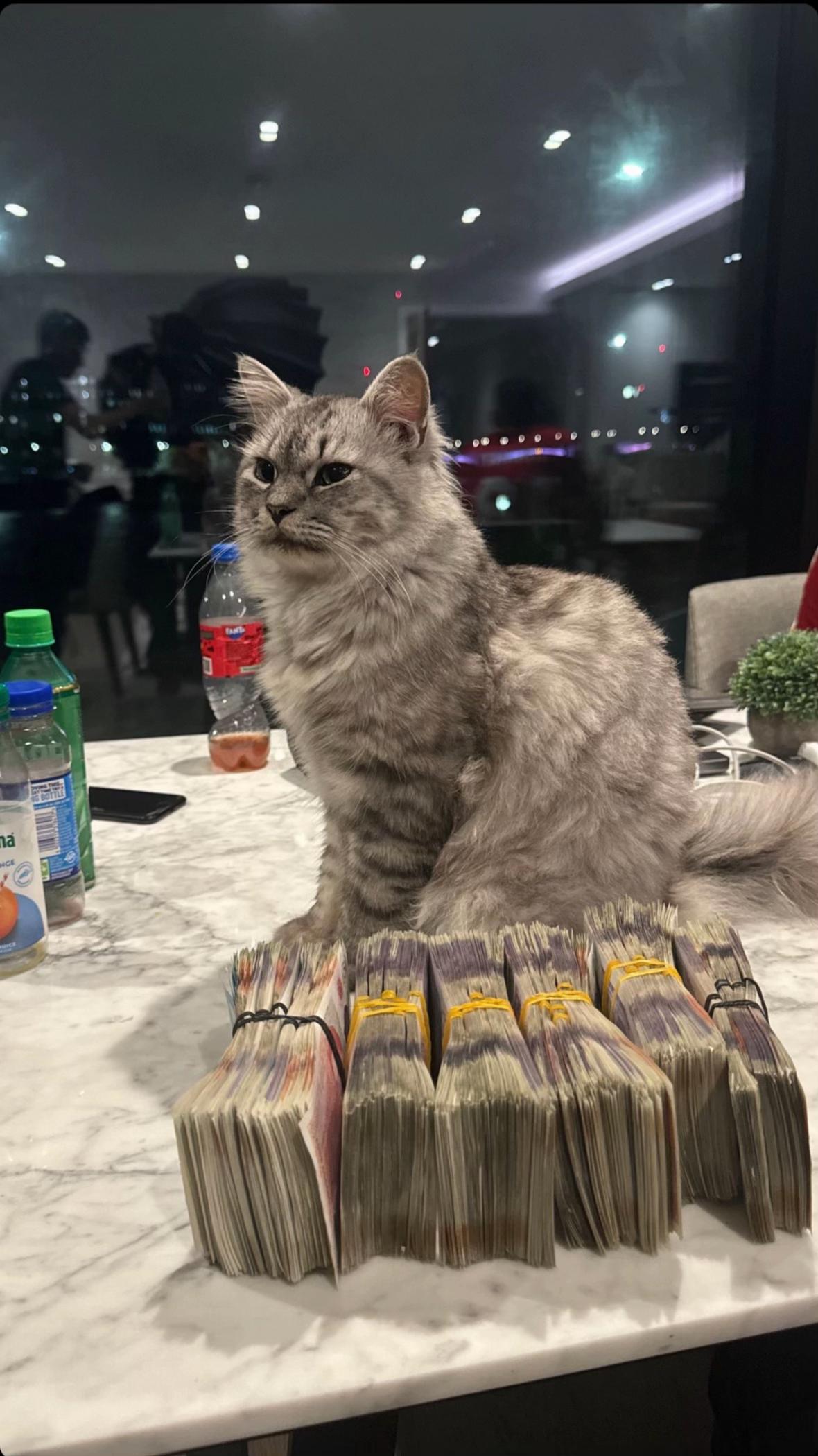 @Limitbtc ๐