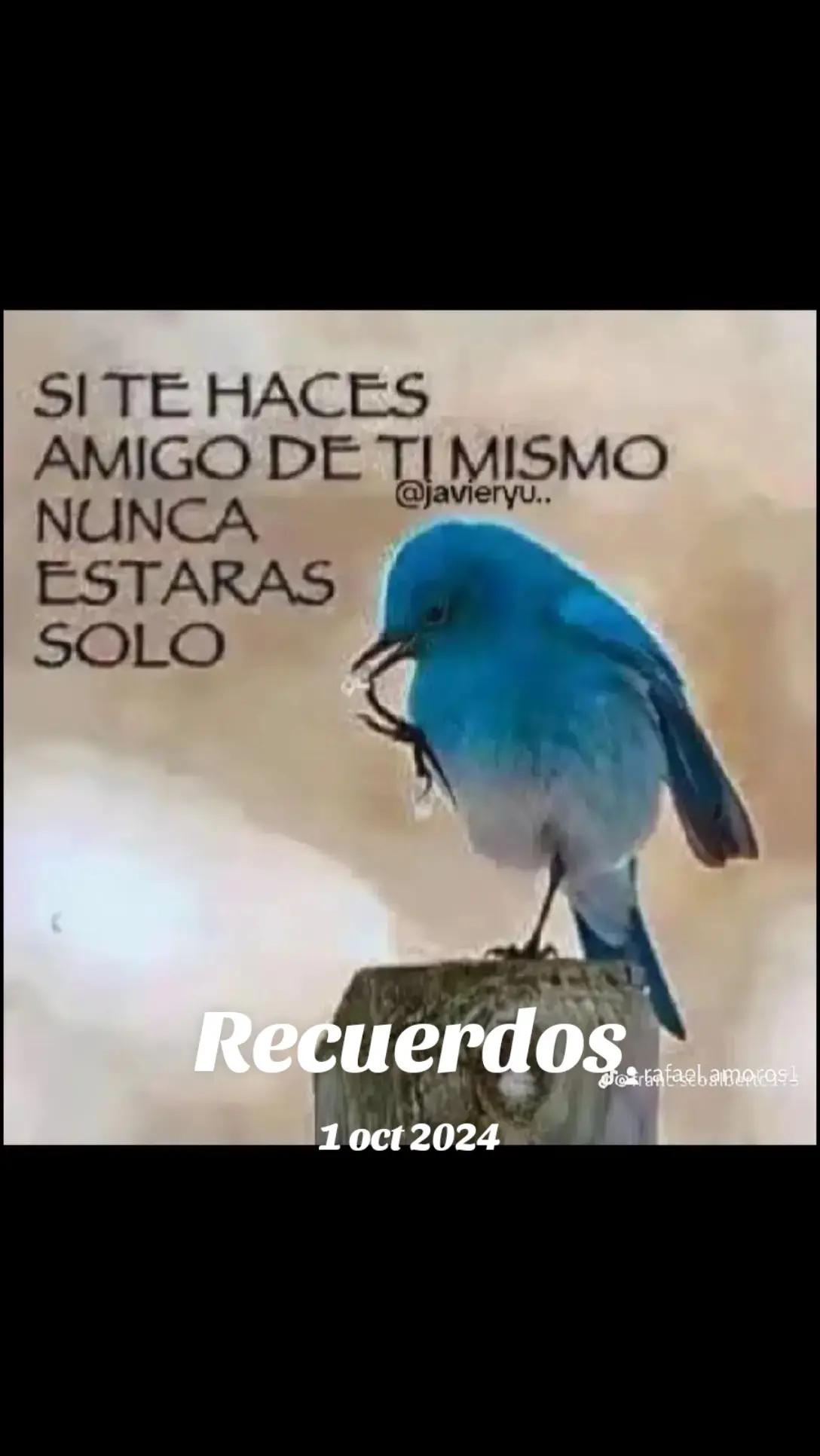@☘️Rafael.Amoros ☘️