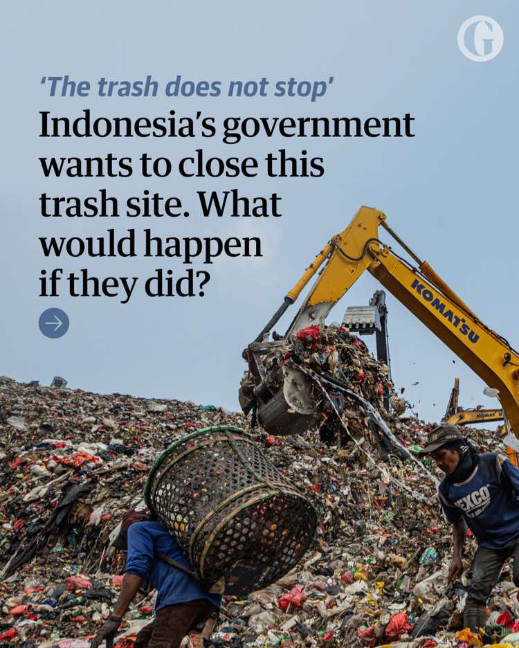@The Guardian