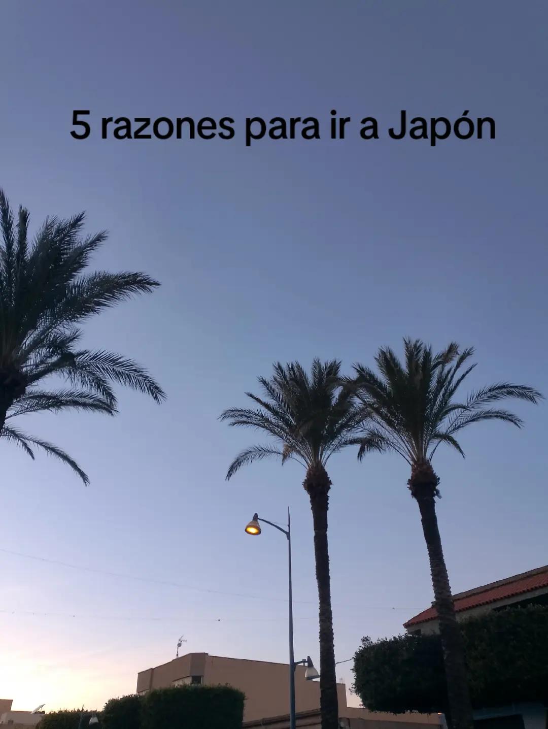 @‧͙⁺˚*・༓☾ 𝑦𝑎𝑐ℎ𝑖 ☽༓・*˚⁺‧͙