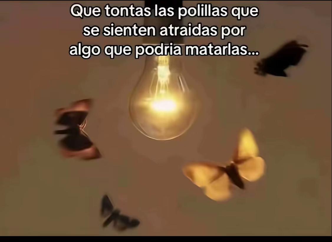 @2._Bernal