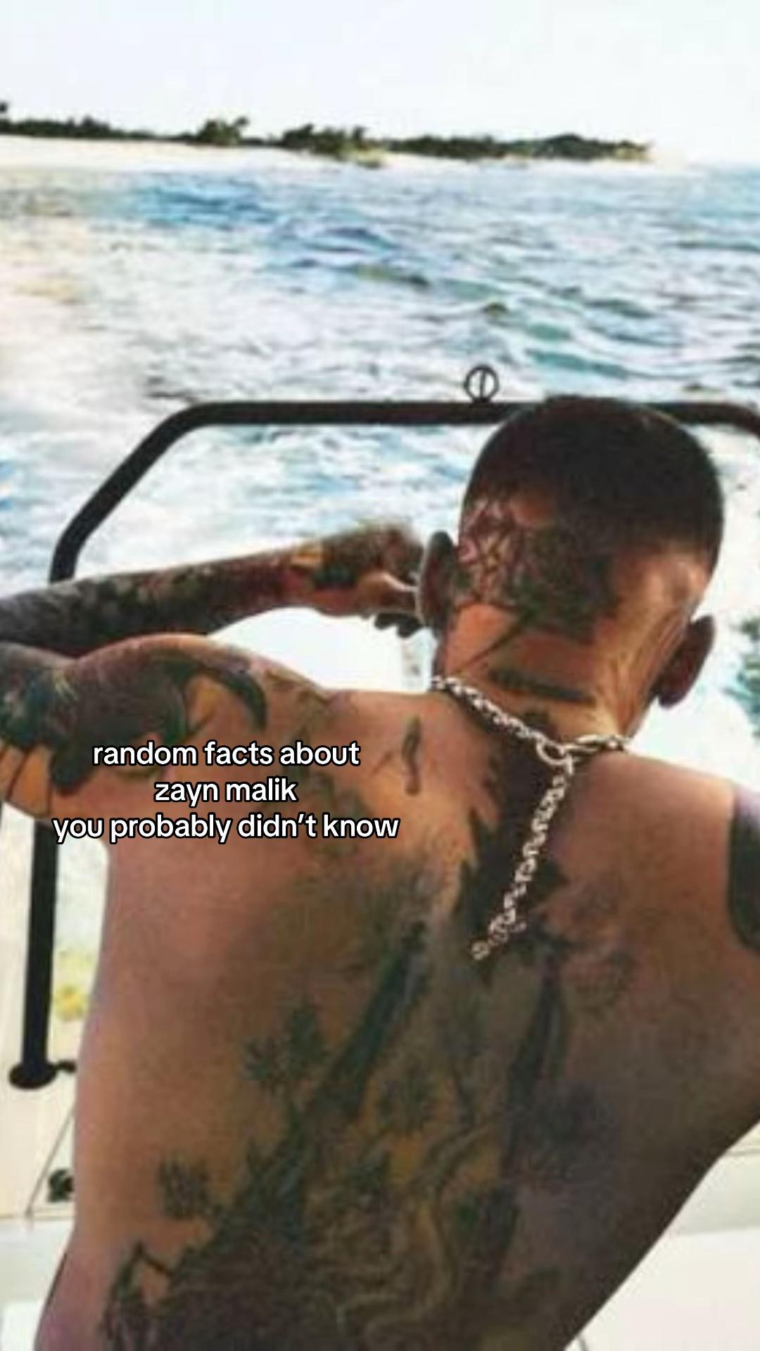 @zaynulture