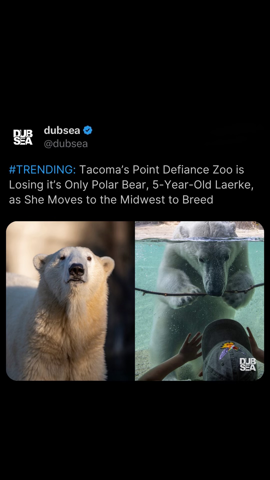 @dubsea