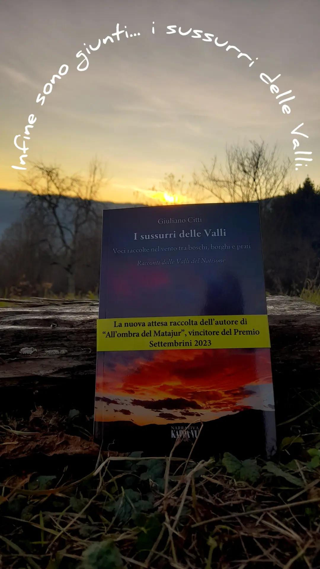 @giuliano.citti.scrittoreValli