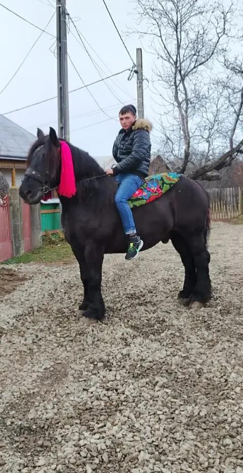 @Buga Ionuț