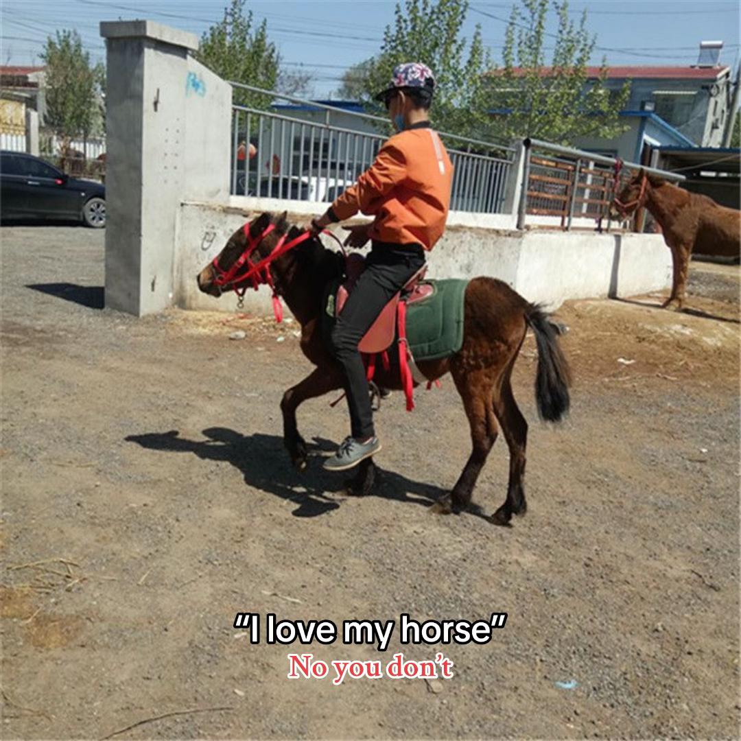 @equestrian._comps