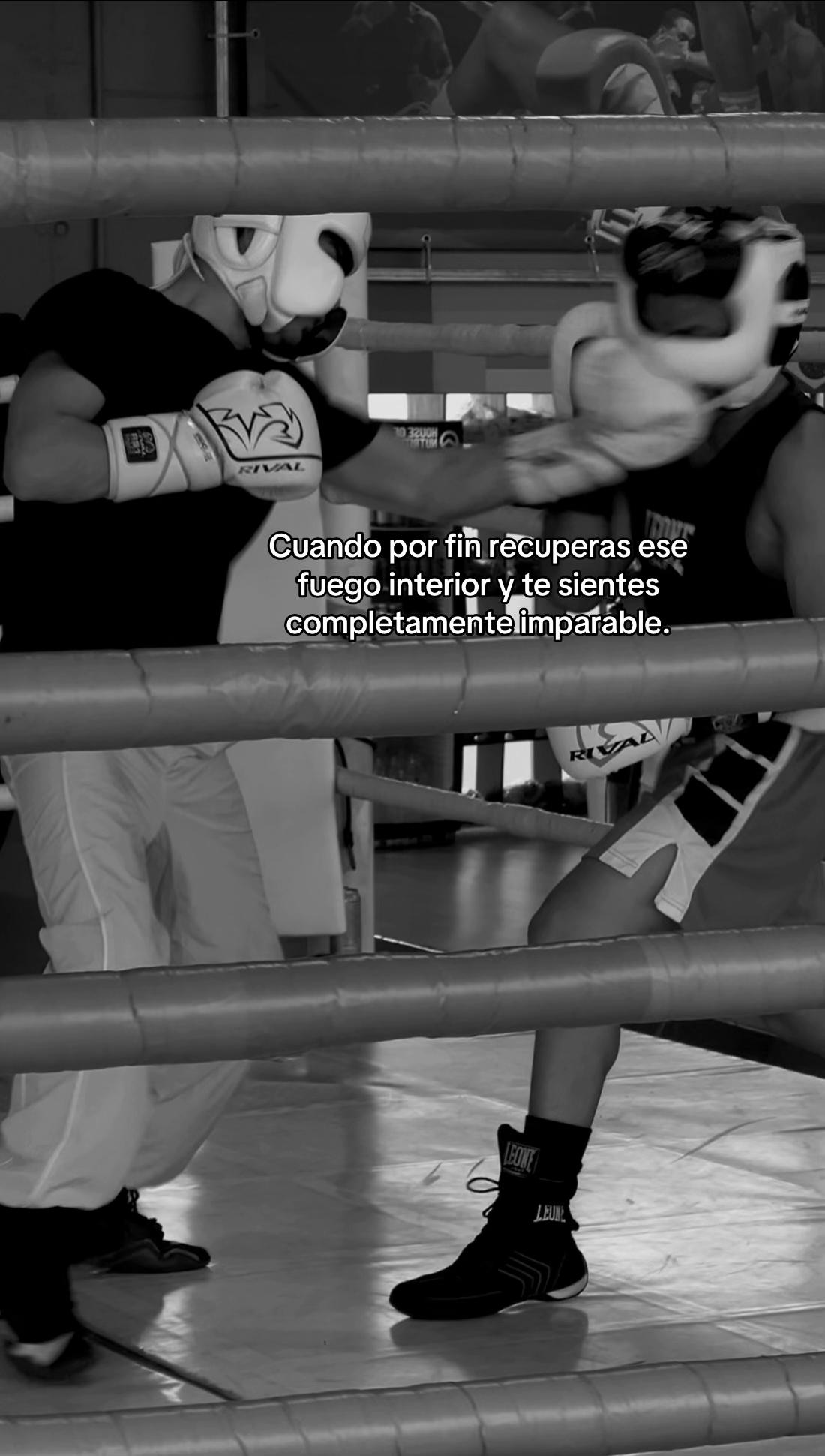 @ssebas.rs