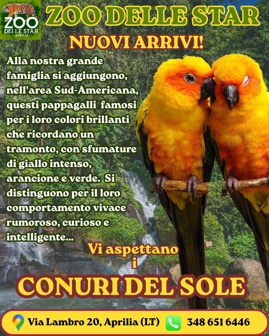 @Parco Zoo delle Star