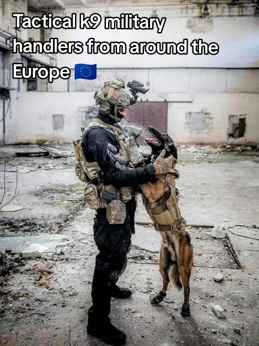 @Finnishmilitary 🇫🇮