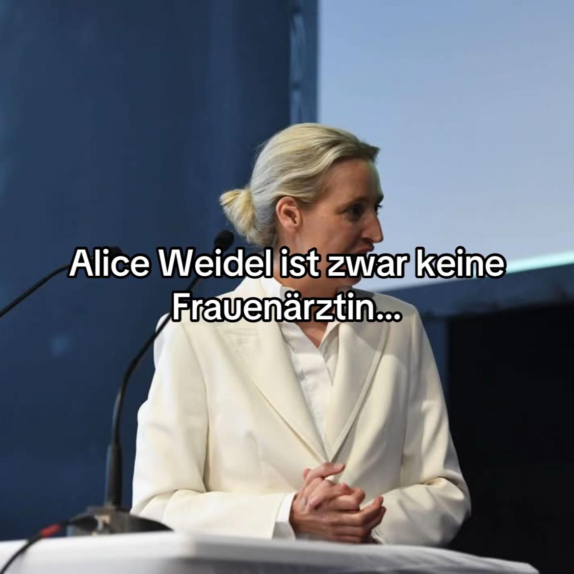 @Alice Weidel Fan💙