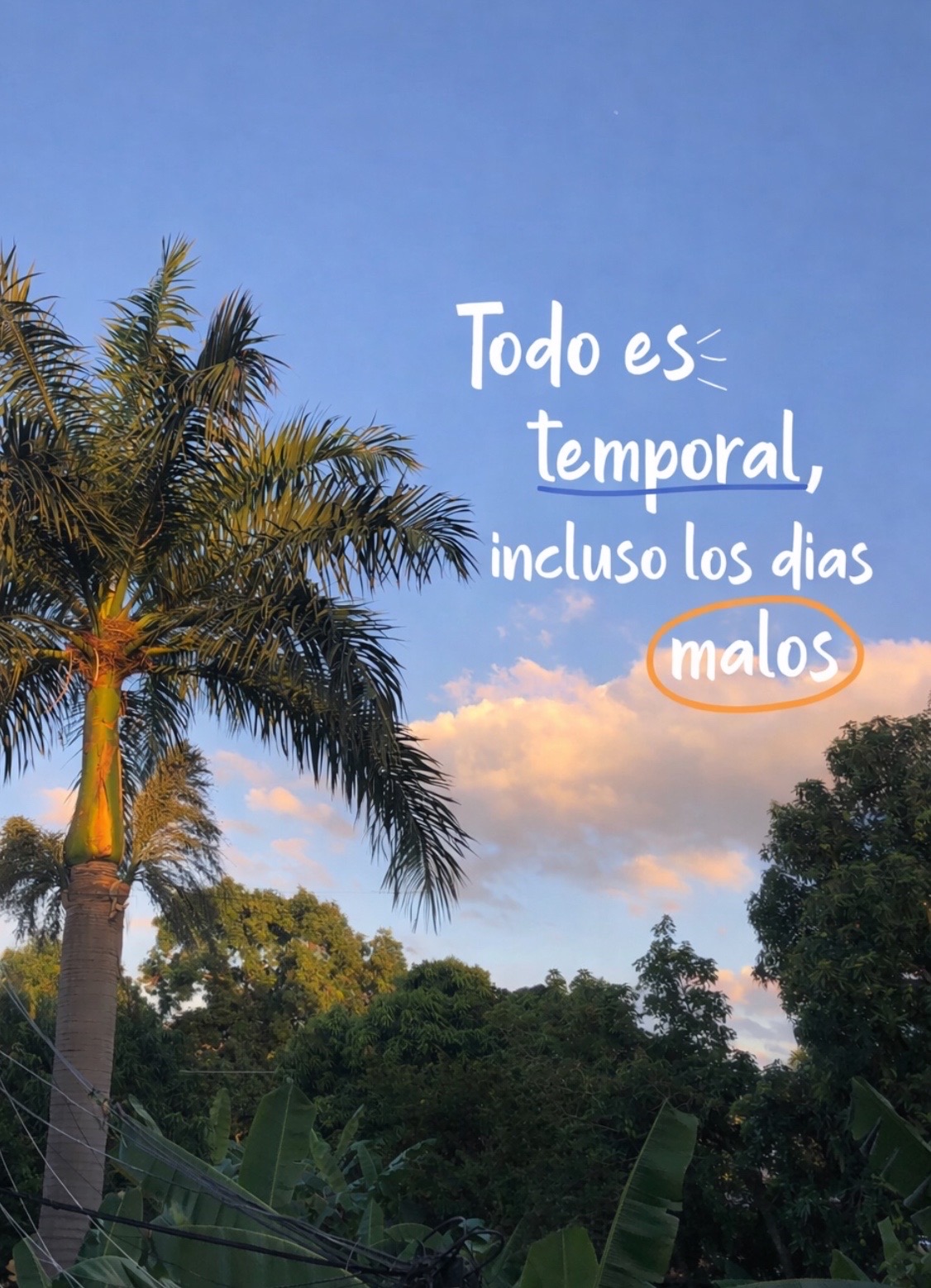 @Filo