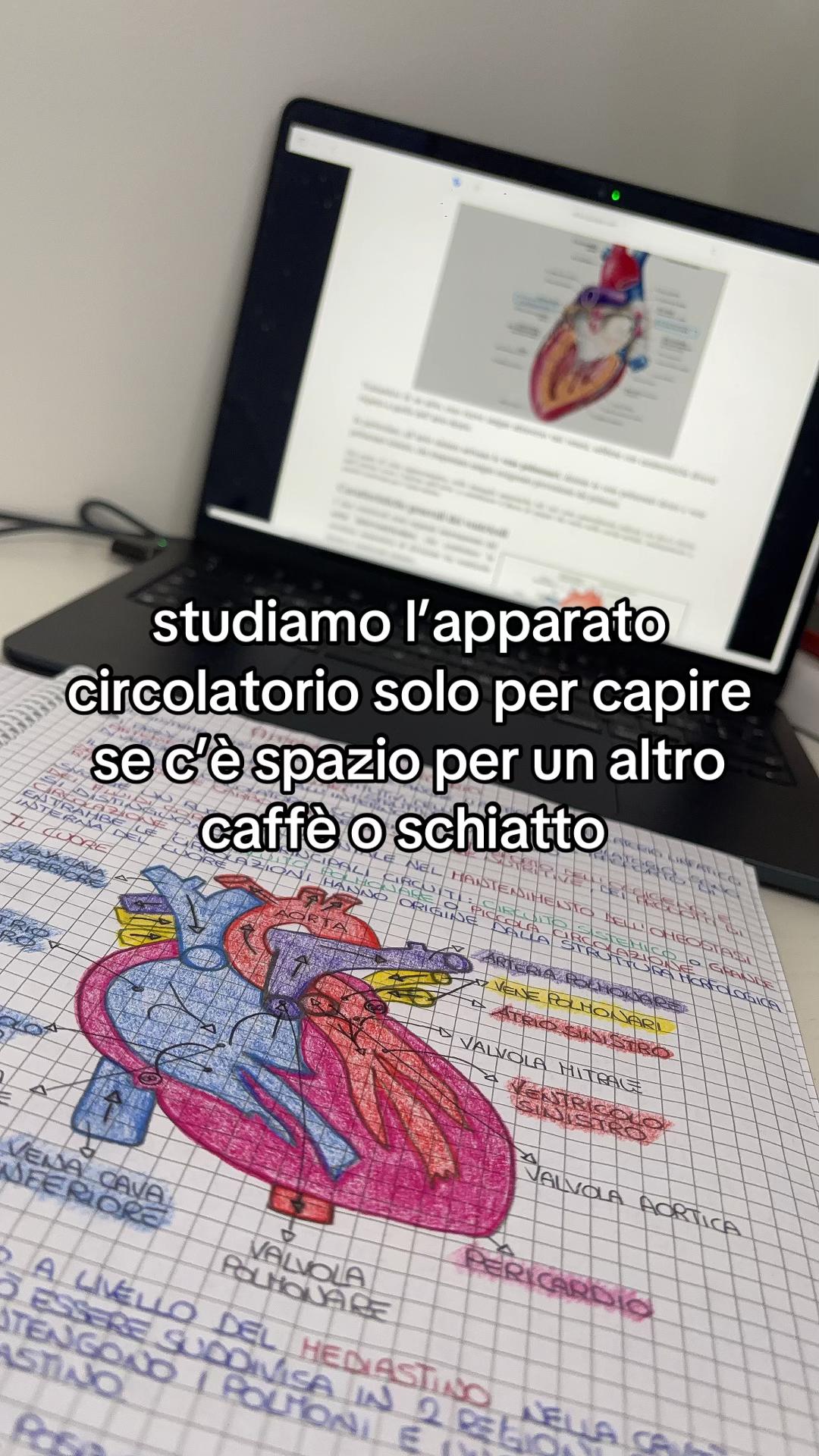 @fuorisede104