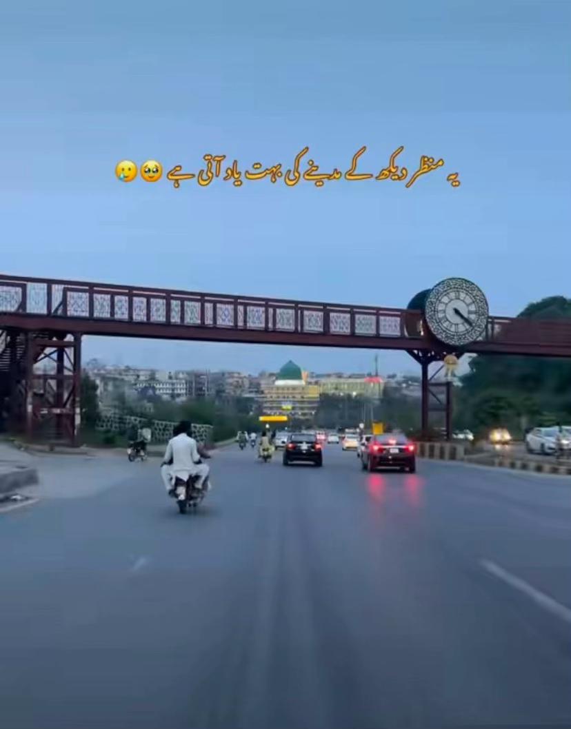 @🫥MALIK SHAHZAIB🗽