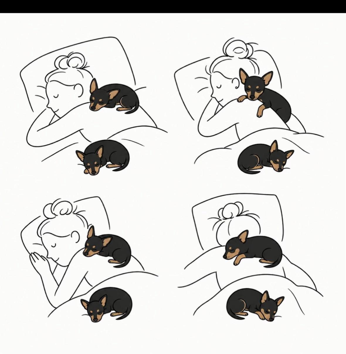 @PanDOGuitos 🐶