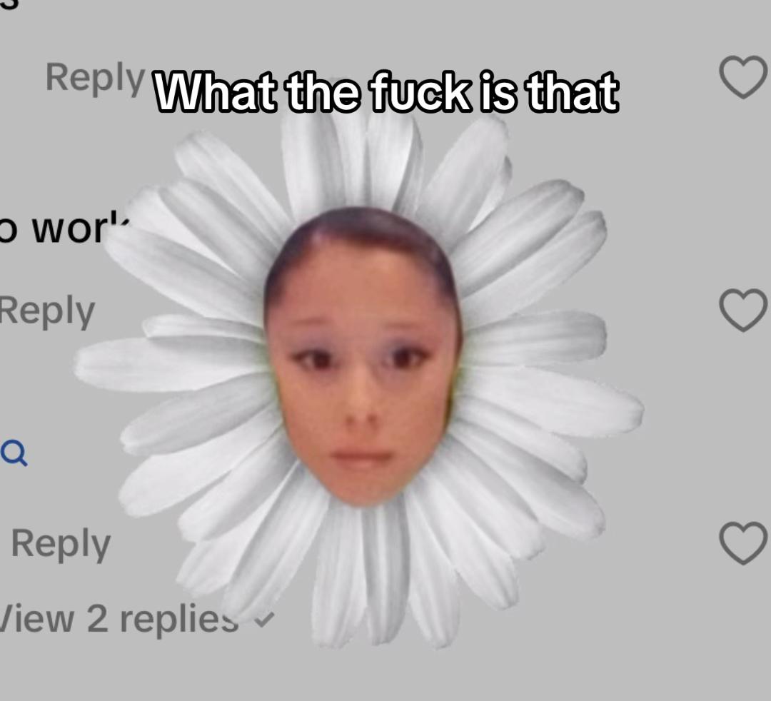 @Red🤫(NO I AM NOT SUS../ref)