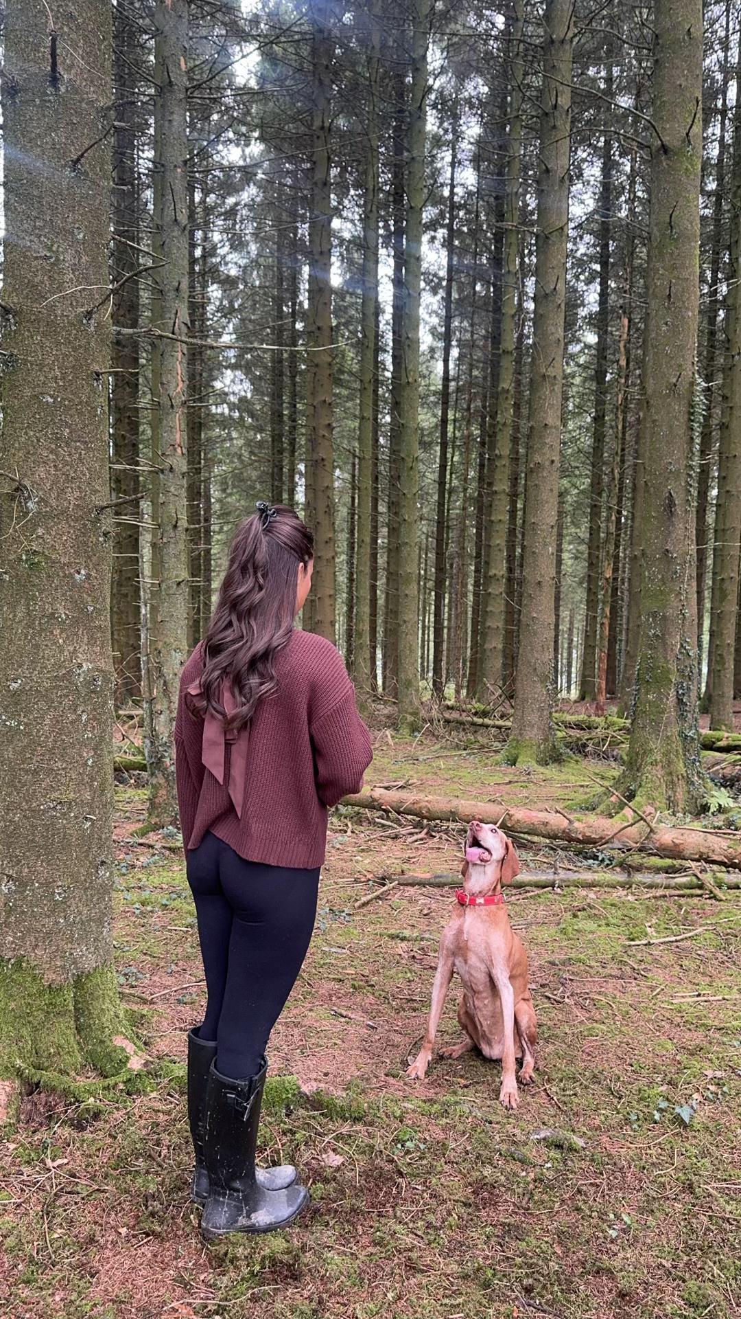 @Darcy Bowkett 🏔️💌✨🪵