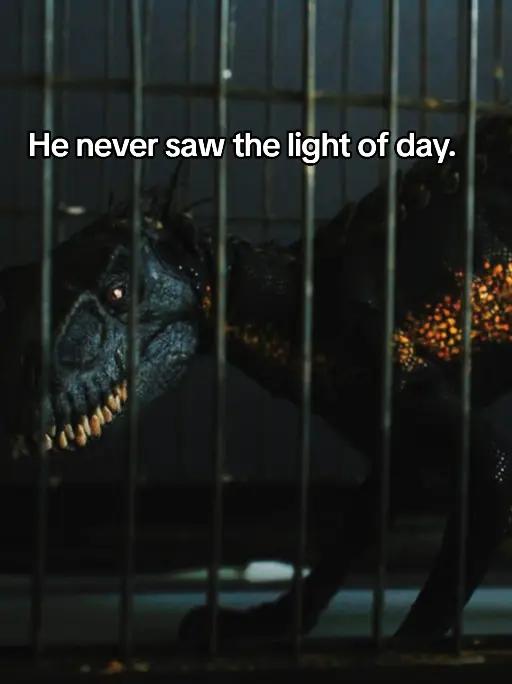 @I7raptor