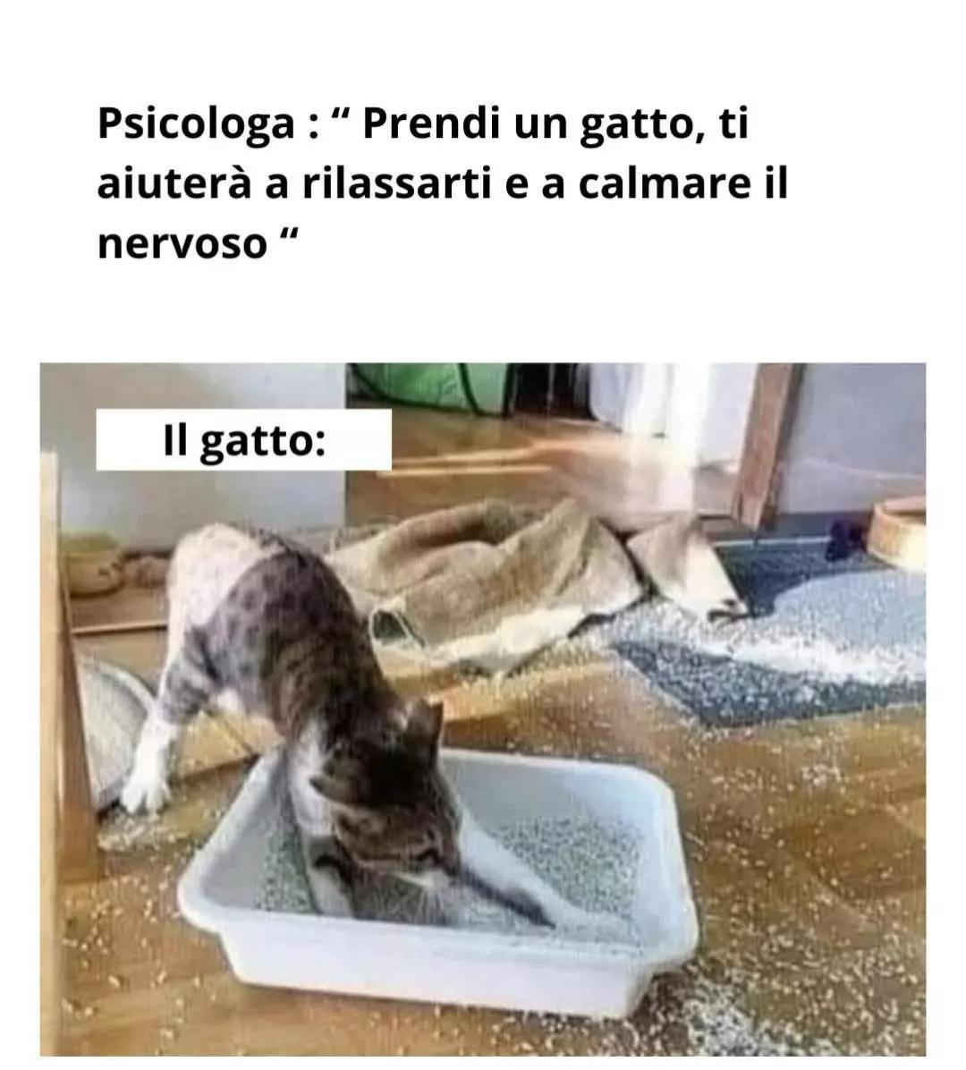 @༒☬BARBARA☬༒