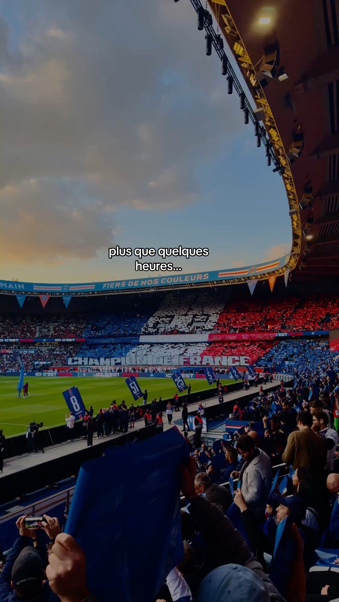 @football fan ⚽️