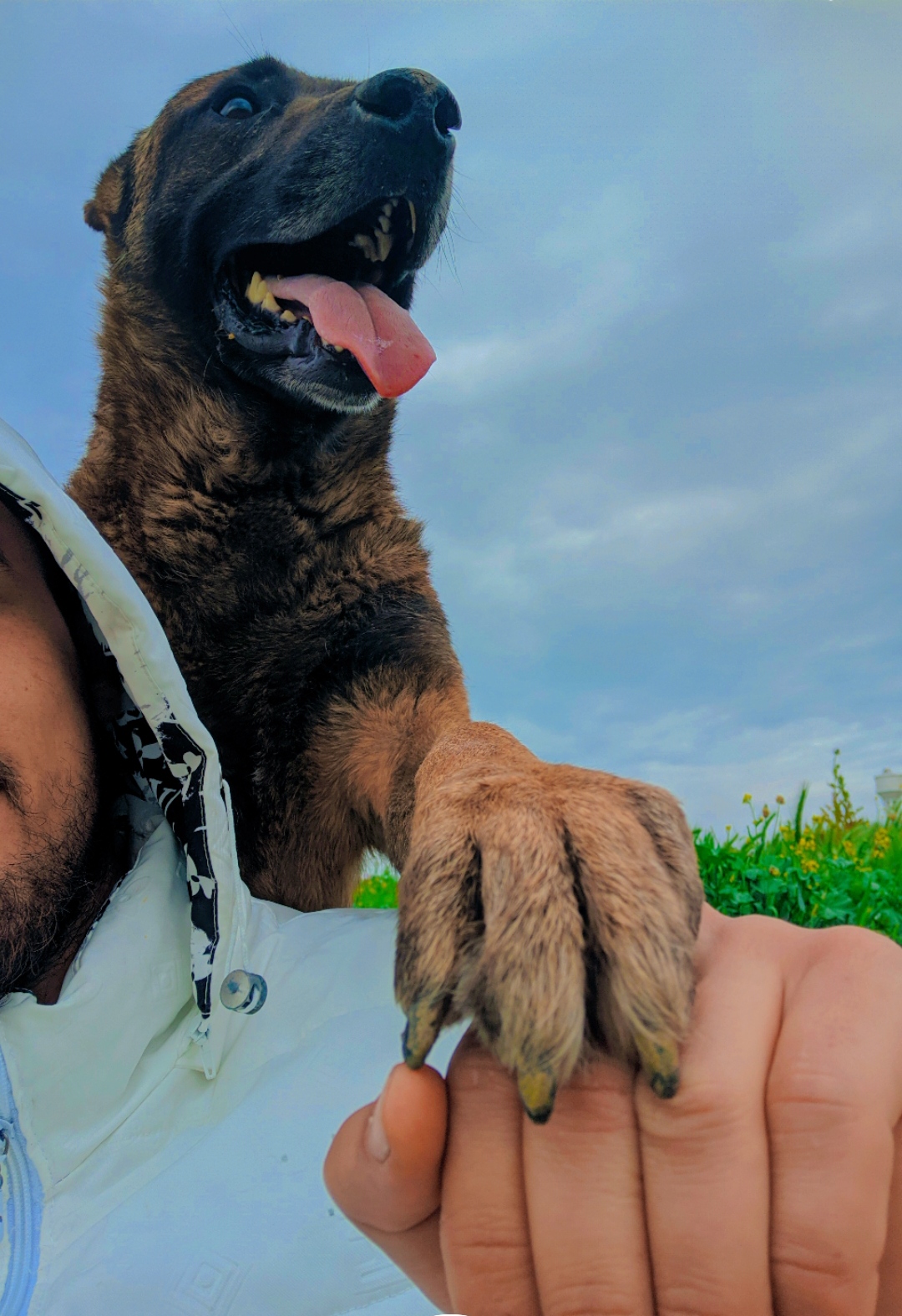 @Cizeer_kiva malinois k9 🐕🦺