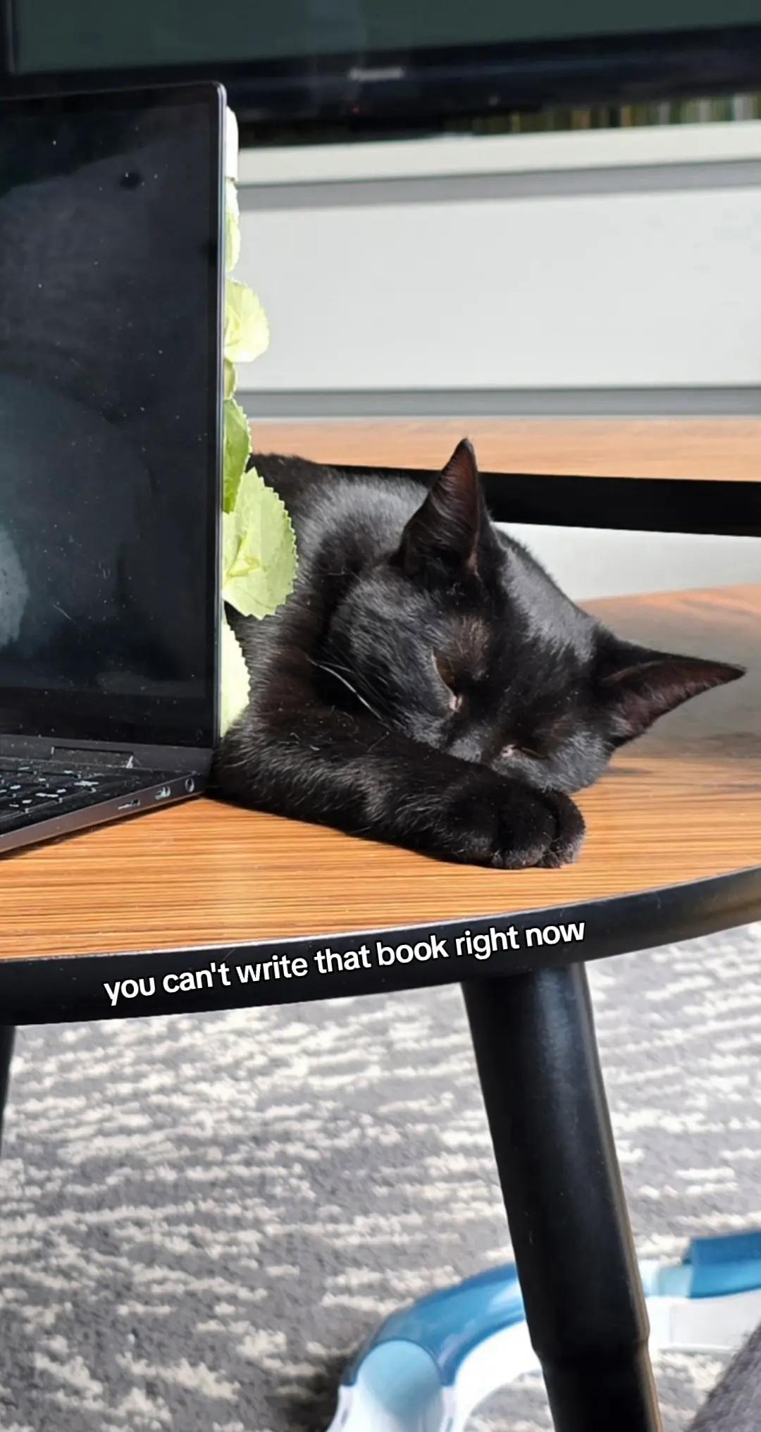 @Nomi Bookreader🪴📚📖☕️🪴🐈&zwj;⬛️