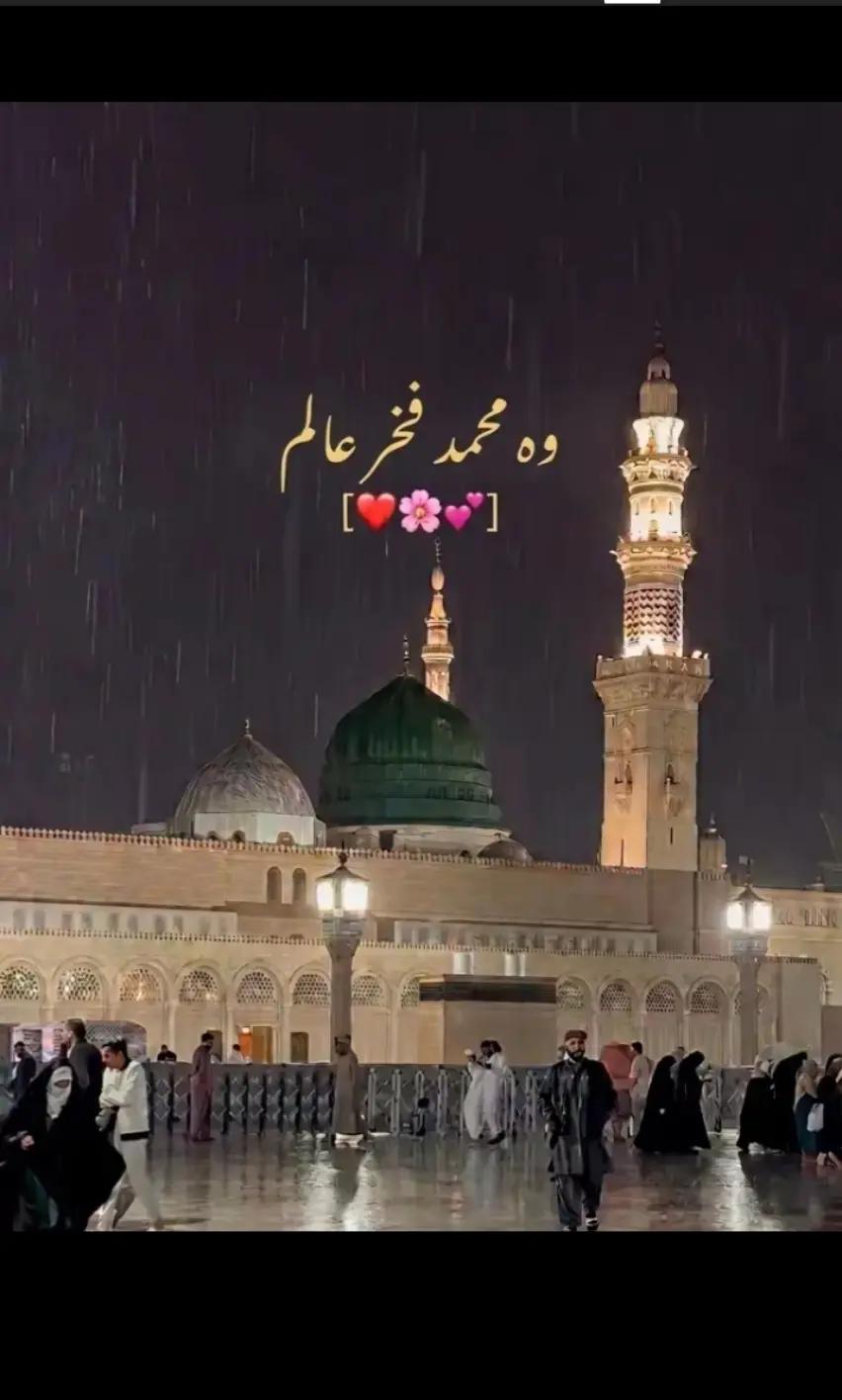 @Saqib Ali001✅⛎