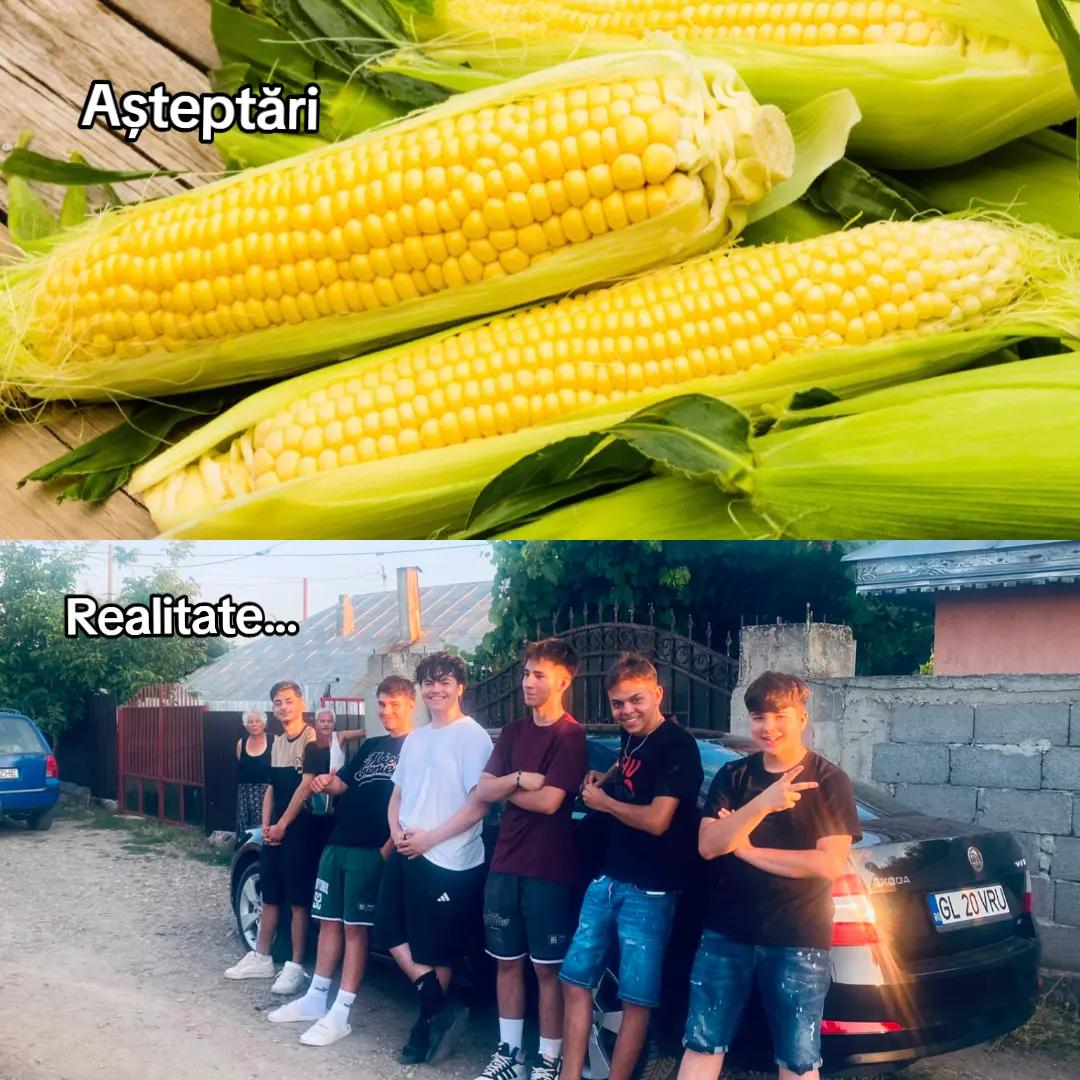 @_Țigănești_City_Oficial_