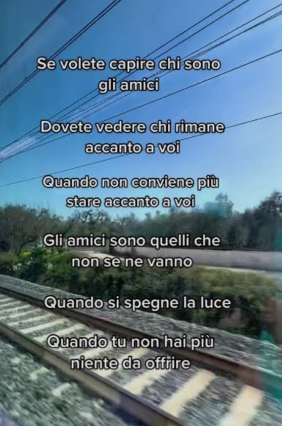 @Ely Bonardi