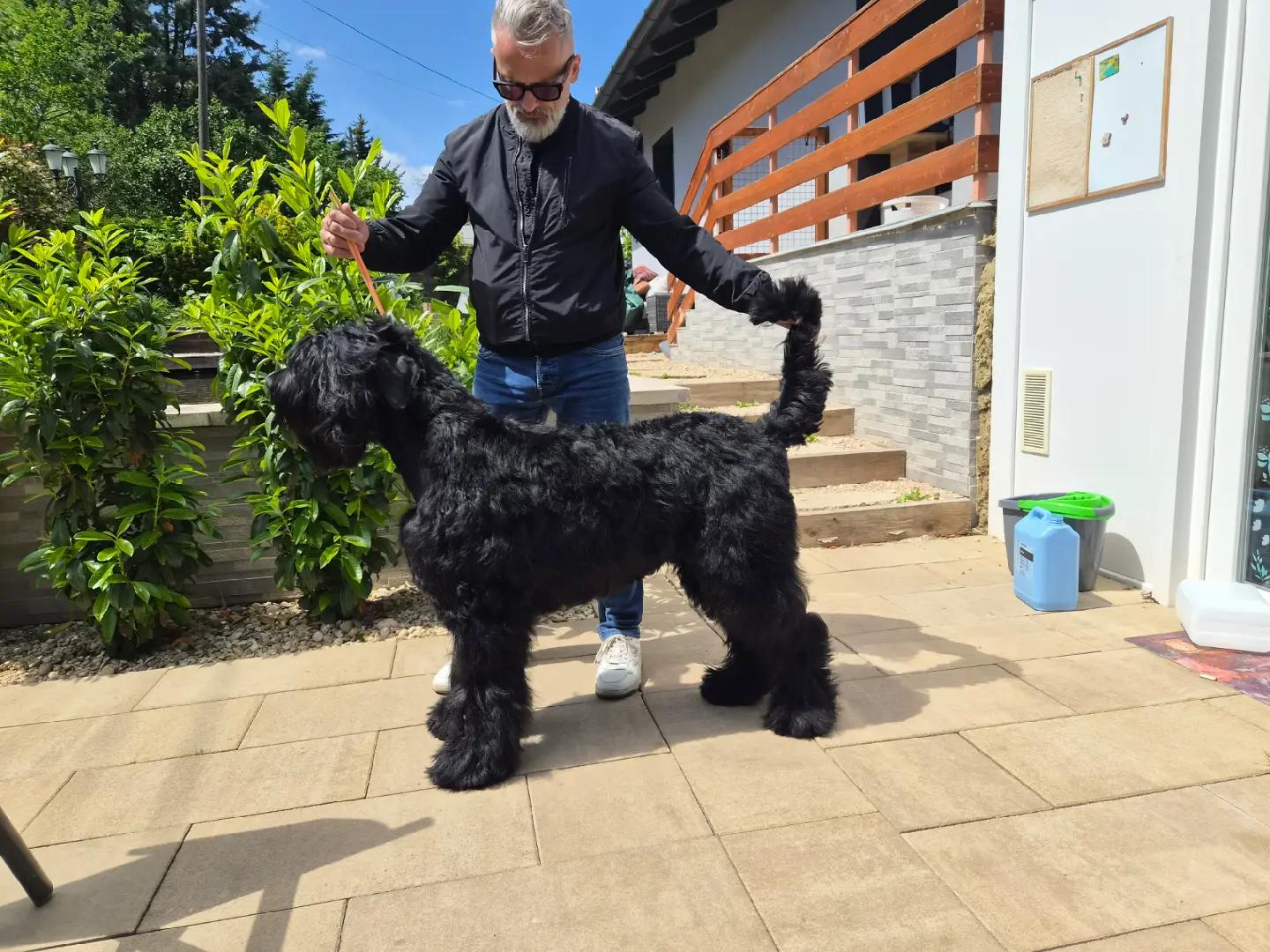 @Green Pet Grooming and more