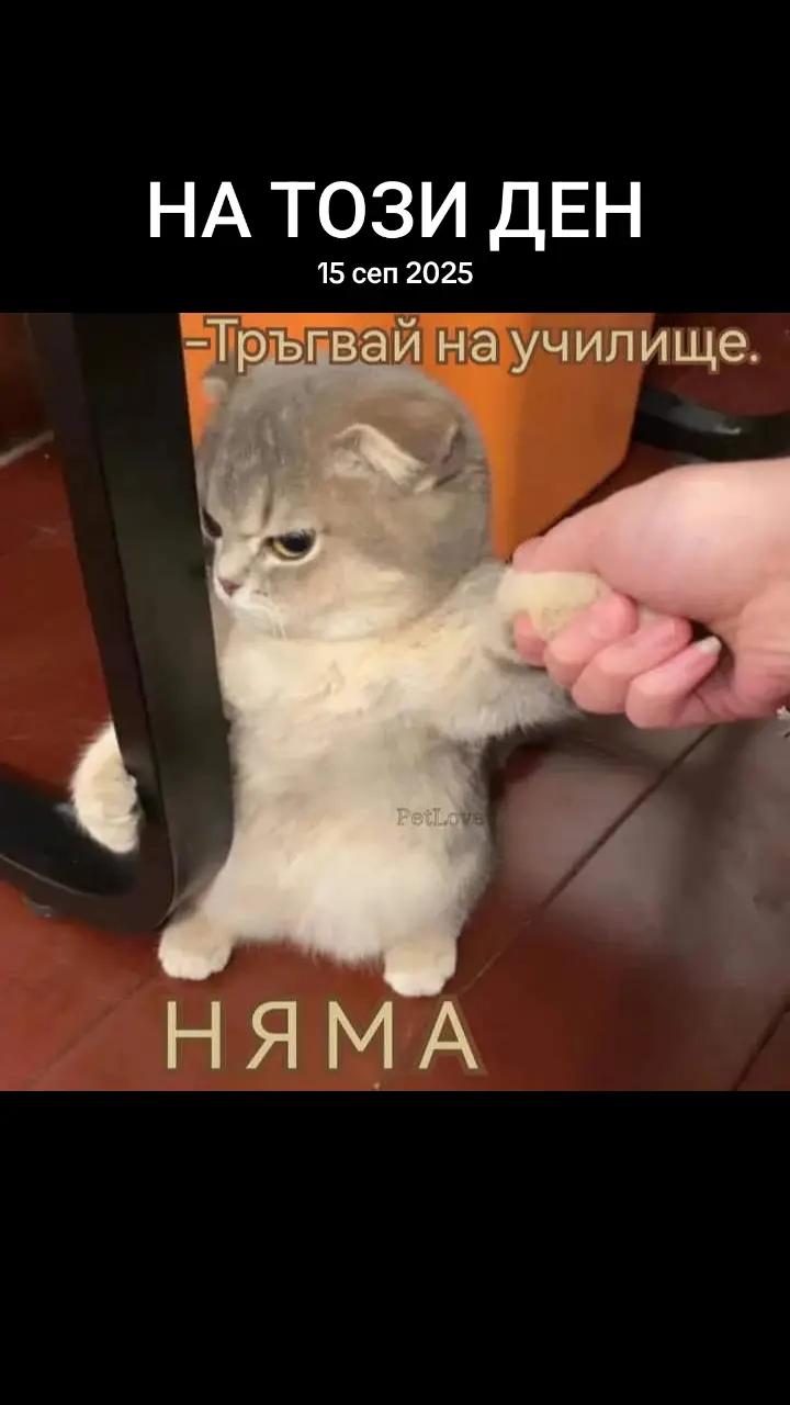 @ашка ♥️