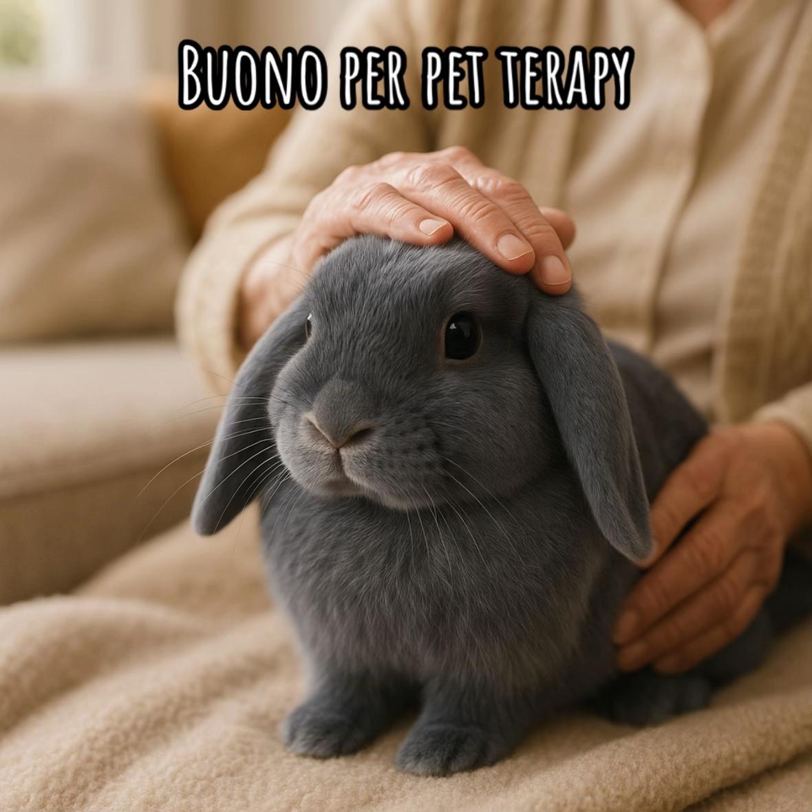 @Peter Rabbit