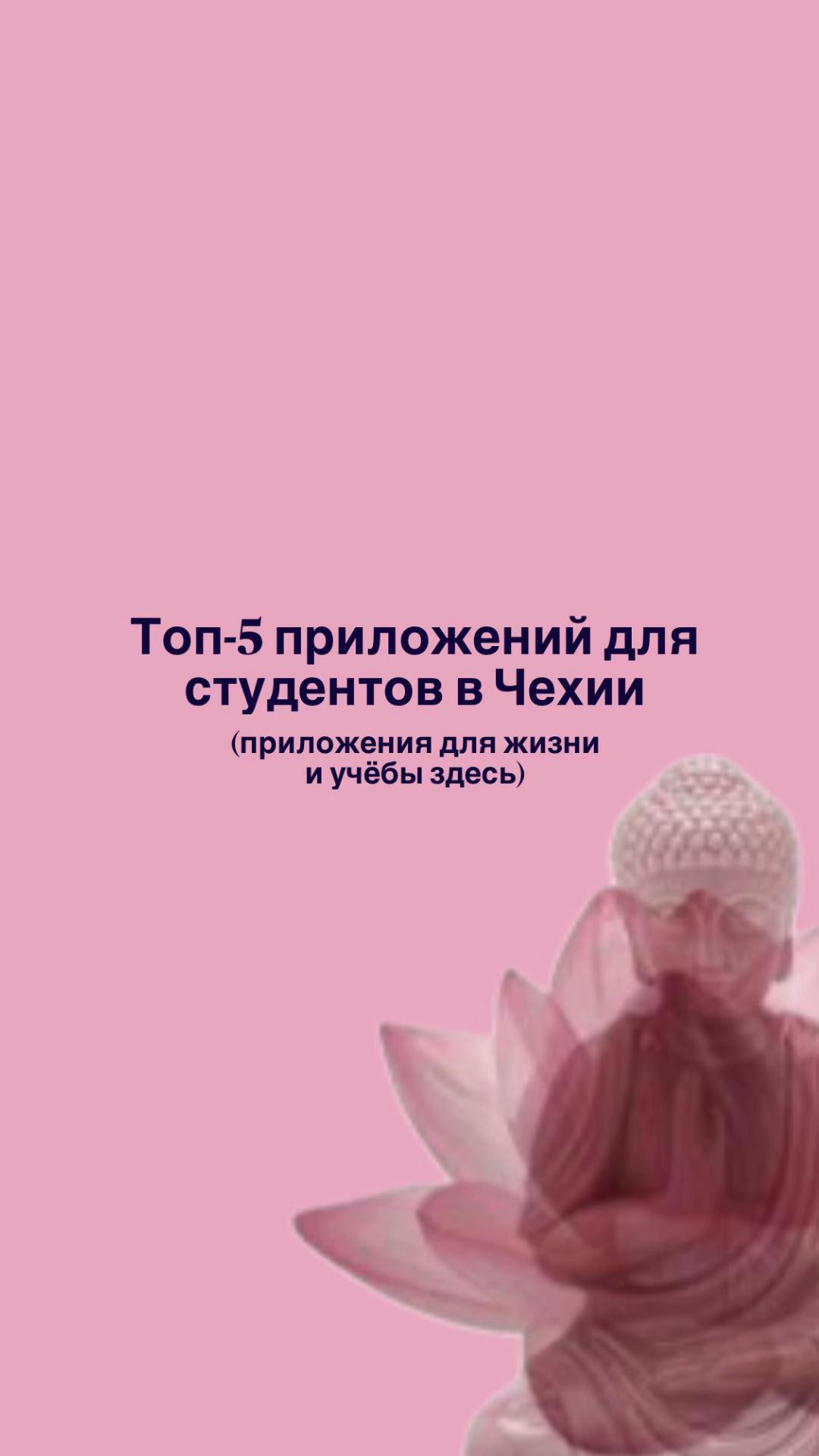 @VISHNYA/ВИШНЯ