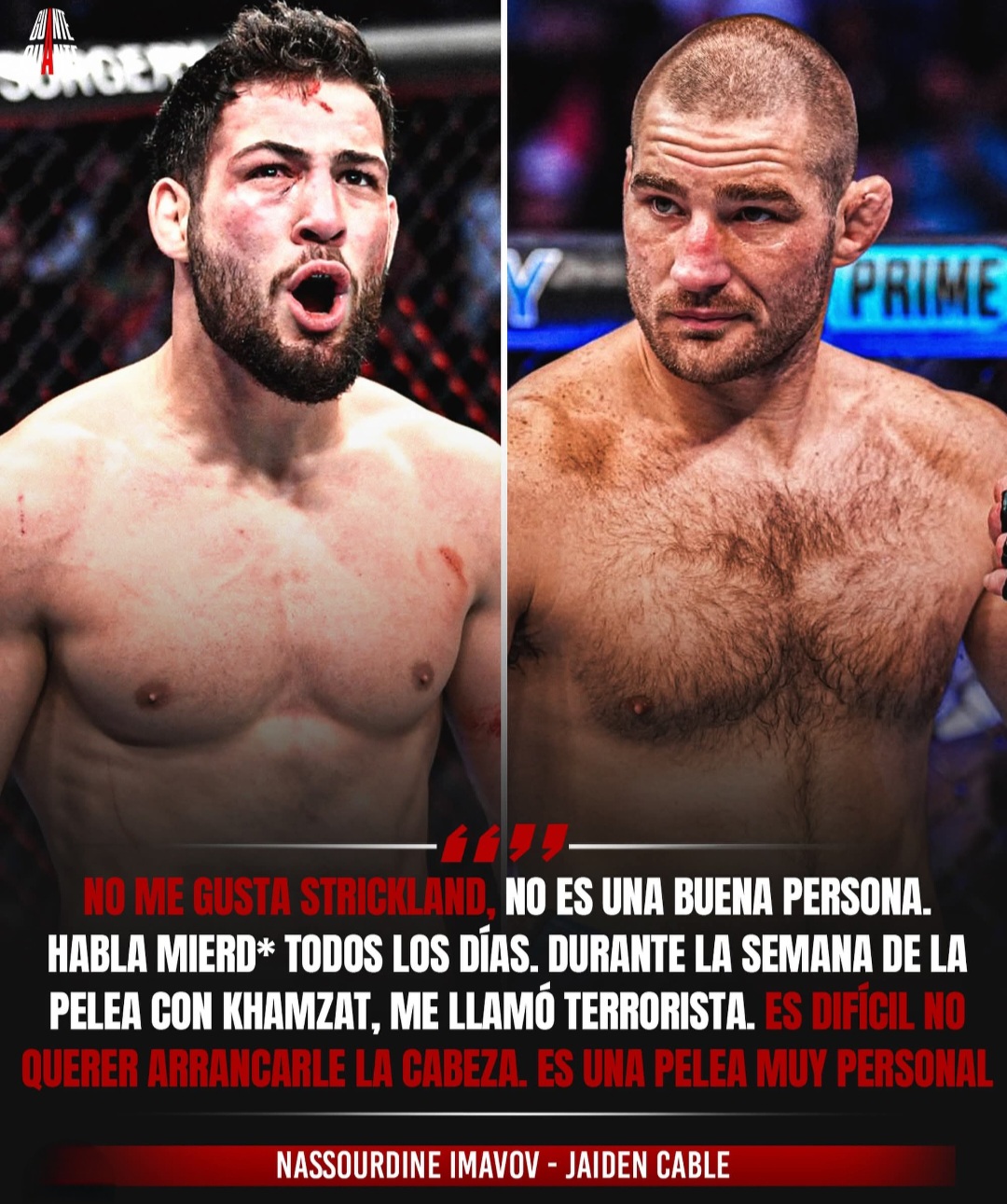 @UFC FANÁTICOS MMA SPORTS