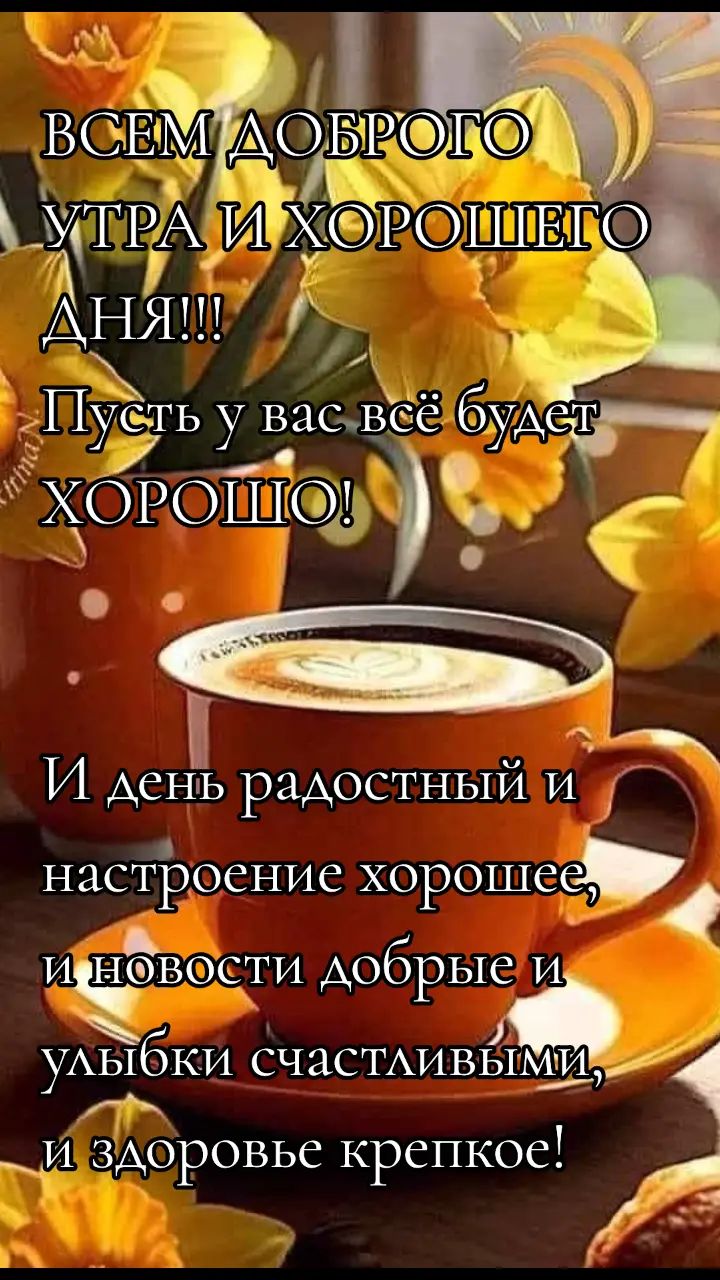@Elza