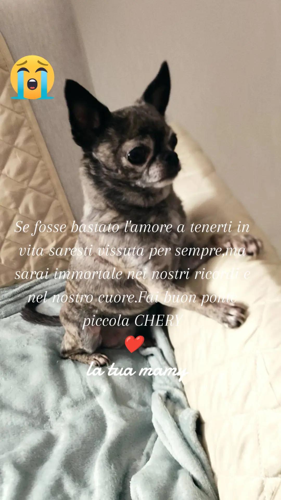 @🐾Zia Barby🐾