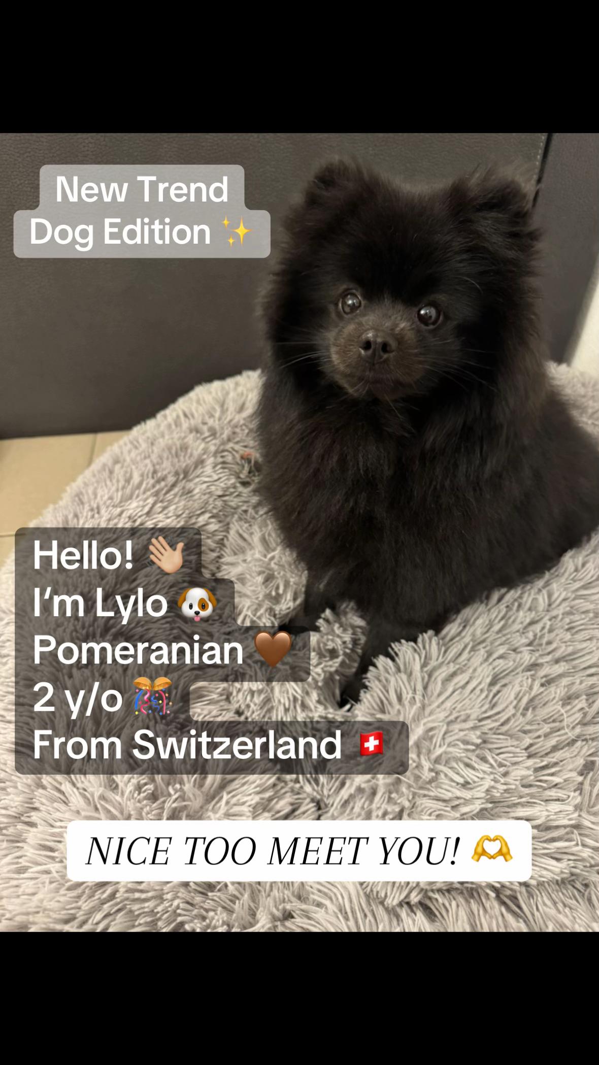 @Lylo