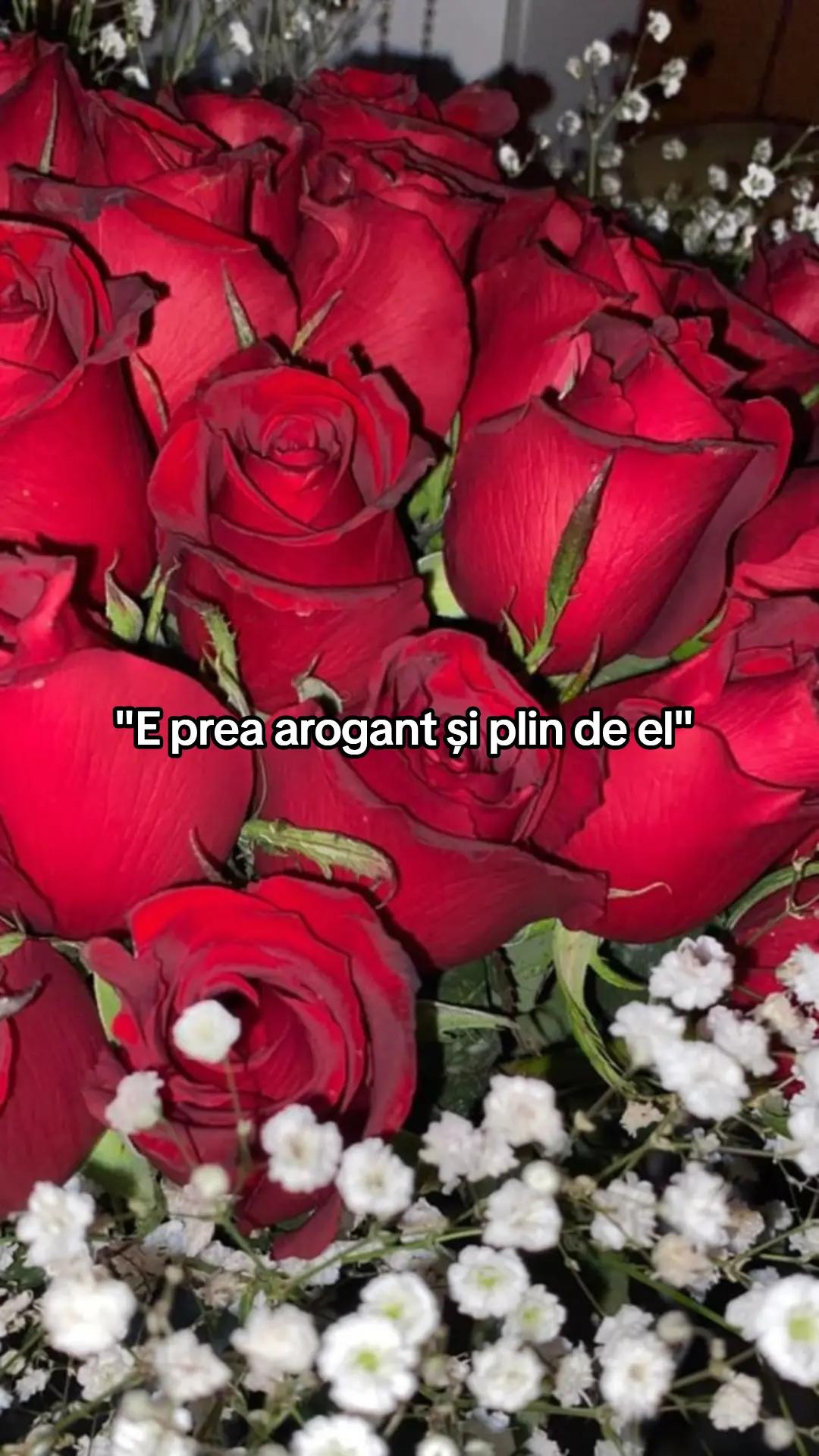 @𝑮𝑰𝑵𝑨&𝑨𝑩𝑬𝑳 𝑴𝑼𝑺𝑰𝑪❤️